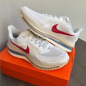 Men’s Nike Pegasus Premium